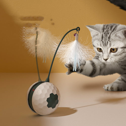 Premium Electric Intelligent Bite-Resistant Cat Toys for Pets